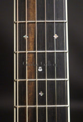Franklin OM guitar fretboard