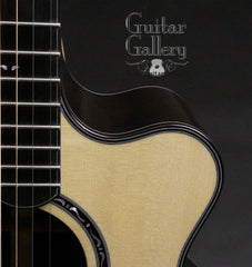 Osthoff SJ guitar cutaway