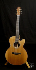 Santa Cruz FS Guitar for sale