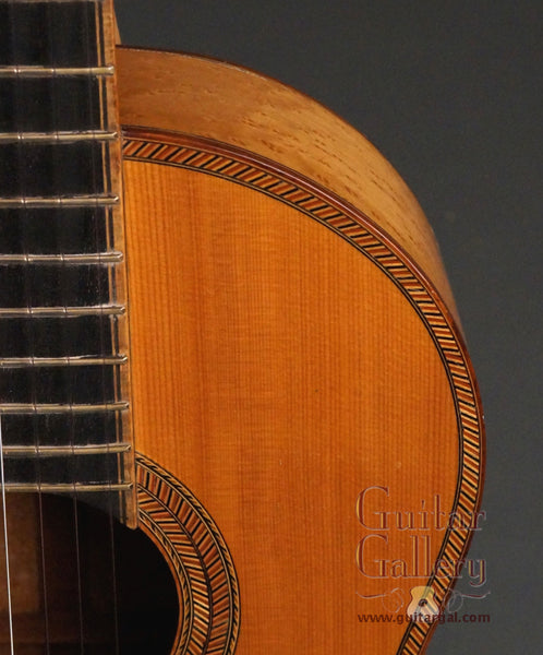 ERVIN SOMOGYI SK Cutaway 2001