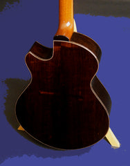 Strahm Eros guitar African Blackwood back