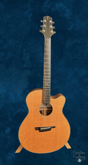 Schwartz Pinnacle guitar for sale