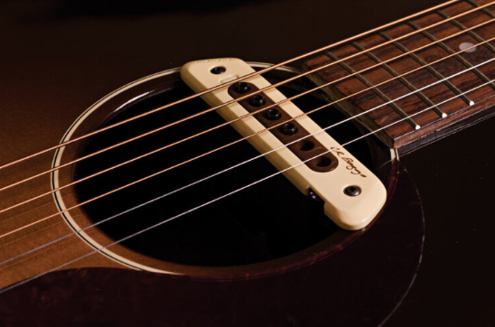 LR Baggs M80 Magnetic Pickup – Guitar Gallery
