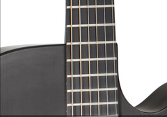 Rainsong carbon glass hybrid guitar