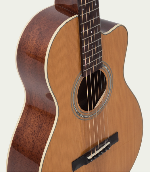 Recording King RP1-16C Guitar – Guitar Gallery