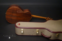 Petros Tunnel 13 guitar with Ameritage case