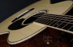 Goodall THROM Guitar (2014)