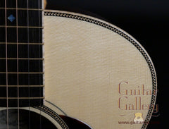 Goodall THROM Guitar (2014)