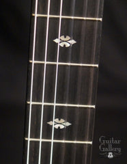 Taylor 712ce-N guitar fretboard