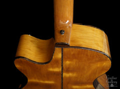 L J Williams Ancient Kauri Whitebait Tui guitar with Sea Turtle inlay & fine abalone purfling