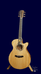 L J Williams Ancient Kauri Whitebait Tui guitar with Sea Turtle inlay