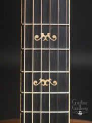 Taylor GCe 12-Fret Ltd Ed Guitar fretboard