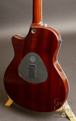 Taylor T5 custom guitar sapele back