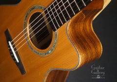 Wingert model E guitar cutaway