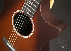 Rainsong APSE guitar cutaway