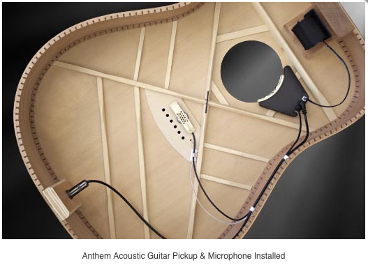 LR Baggs Anthem Series Pickups – Guitar Gallery