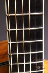 Beardsell 2D Guitar fretboard
