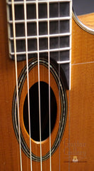Beardsell 2D guitar rosette