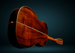 Branzell 000-12 guitar glam shot Brazilian rosewood back