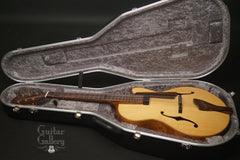 Buscarino Artisan Archtop guitar inside case