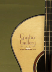 Vines Guitar: Brazilian Rosewood Colorado Cutaway