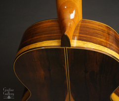 Manuel Contreras classical guitar striking Brazilian rosewood