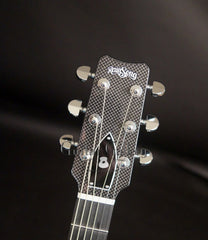 Rainsong CO-WS1000N2 guitar headstock