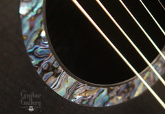 Rainsong CO-WS1000N2 guitar rosette detail