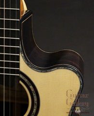 Ensor ES guitar cutaway