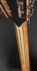 Lame Horse Gitjo (Banjo Guitar)