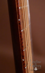 Hewett Brazilian rosewood D guitar side dots