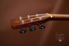 Hewett Brazilian rosewood D guitar tuners