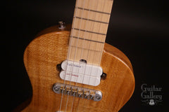 New Complexity Harmonic Isolator guitar at Guitar Gallery