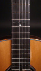 Wingert classical guitar fretboard