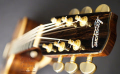 Langejans guitar