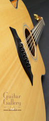 Taylor 12 string guitar