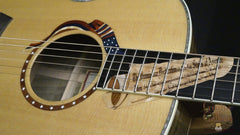 Ltd Edition Taylor Liberty Tree guitar