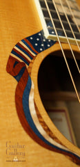 Taylor Liberty Tree Limited Edition Guitar