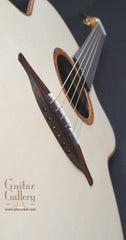 Lowden F50 guitar top