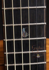 Laurie Williams Kiwi Guitar fretboard