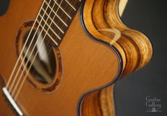 Osthoff FS Mango guitar cutaway