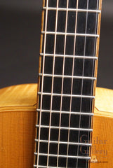 Lowden F35 guitar fretboard