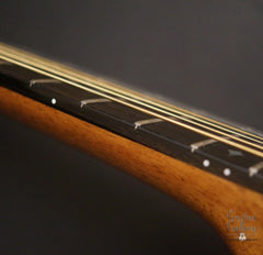 Froggy Bottom M Dlx guitar side dots