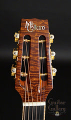 McCollum D Sapele Guitar