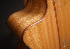 Noemi guitar cutaway detail