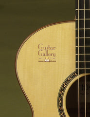 Thomas Rein Guitar: Maple R1