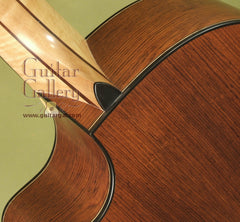 Lowden Guitar: Honduran Rosewood Pierre Bensusan