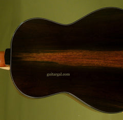 Greenfield guitar Brazilian rosewood back