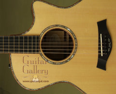 Taylor Guitar: Used CocoBolo Fall Ltd Ed 2008 GA