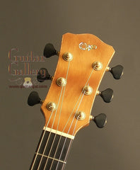 Laurie Williams kiwi guitar headstock
